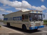 Guzera Nelore 8394 na cidade de Goiânia, Goiás, Brasil, por Edden Brito. Número da foto: #2563064.