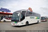 Vesper Transportes 9296 na cidade de Ribeirão Vermelho, Minas Gerais, Brasil, por Pedro Henrique Gumercindo da Silva. Número da foto: #2561998.