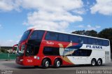 Pluma Conforto e Turismo 7006 na cidade de Curitiba, Paraná, Brasil, por Danilo Marcelo Silva. Número da foto: #2517271.