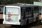 Pruden Express 810 na cidade de Presidente Prudente, São Paulo, Brasil, por Francisco Ivano. Número da foto: #2520779.