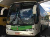 Pássaro Verde 29017 na cidade de Belo Horizonte, Minas Gerais, Brasil, por Thiago  Reis. Número da foto: #:id.