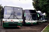 Empresa de Transportes Andorinha 4174 na cidade de Assis, São Paulo, Brasil, por Francisco Ivano. Número da foto: #:id.