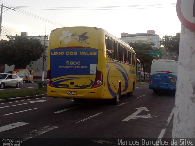 Viação Lírio dos Vales 9800 na cidade de Vitória, Espírito Santo, Brasil, por Marcos Barcelos da Silva. Número da foto: #2525657.