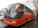 Ônibus Particulares TURISMO OVEJA NEGRA na cidade de , por Pablo Andres Yavar Espinoza. Número da foto: #2525076.