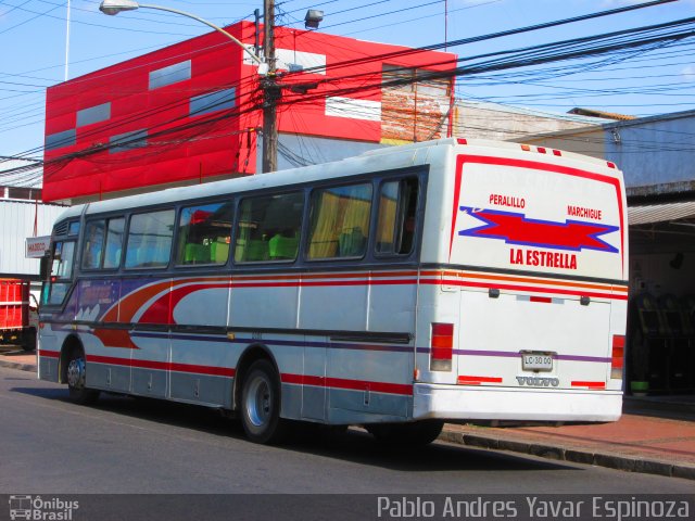 Buses Matus LC3000 na cidade de Santa Cruz, Colchagua, Libertador General Bernardo O'Higgins, Chile, por Pablo Andres Yavar Espinoza. Número da foto: #2564604.