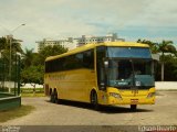 Viação Nordeste 1100 na cidade de Fortaleza, Ceará, Brasil, por Edson  Duarte de Lima. Número da foto: #2565358.