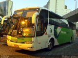 Pássaro Verde 29017 na cidade de Belo Horizonte, Minas Gerais, Brasil, por Renan Vieira. Número da foto: #2585626.