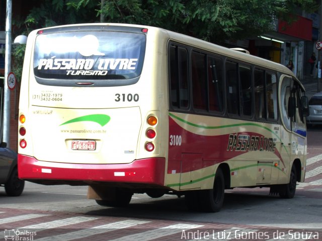 Viação Pássaro Livre 3100 na cidade de Belo Horizonte, Minas Gerais, Brasil, por André Luiz Gomes de Souza. ID da foto: 2587396.