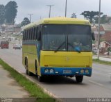 FenixTur 3900 na cidade de Colombo, Paraná, Brasil, por Ricardo Matu. Número da foto: #2589244.