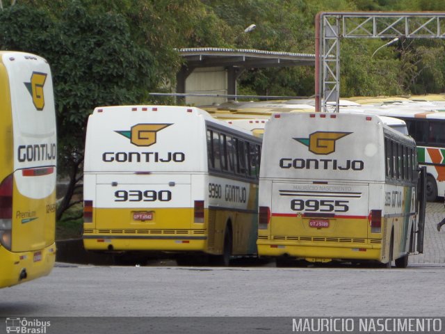 Empresa Gontijo de Transportes 8955 na cidade de Belo Horizonte, Minas Gerais, Brasil, por Maurício Nascimento. Número da foto: #2589866.