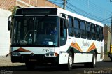 Jandaia Transportes e Turismo 1160 na cidade de Ourinhos, São Paulo, Brasil, por Francisco Ivano. Número da foto: #2596389.