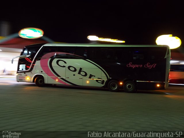 Cobra Viagens e Turismo 5000 na cidade de Guaratinguetá, São Paulo, Brasil, por Fabio Alcantara. Número da foto: #2597624.