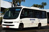 AVOA - Auto Viação Ourinhos Assis 12259 na cidade de Assis, São Paulo, Brasil, por Francisco Ivano. Número da foto: #2596913.