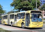Viação Grande Vitória 13123 na cidade de Vitória, Espírito Santo, Brasil, por Giordano Trabach. Número da foto: #:id.