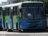 Vereda Transporte Ltda. 29033 na cidade de Vila Velha, Espírito Santo, Brasil, por Pedro Henrique Ferreira. Número da foto: #2567713.