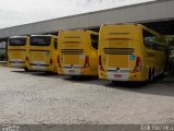 Viação Itapemirim 60533 na cidade de Campos dos Goytacazes, Rio de Janeiro, Brasil, por Erik Ferreira. Número da foto: #2600481.
