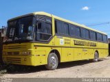Transportes Seta Branca Locadora 9310 na cidade de Januária, Minas Gerais, Brasil, por Thiago  Pacheco. Número da foto: #2601290.