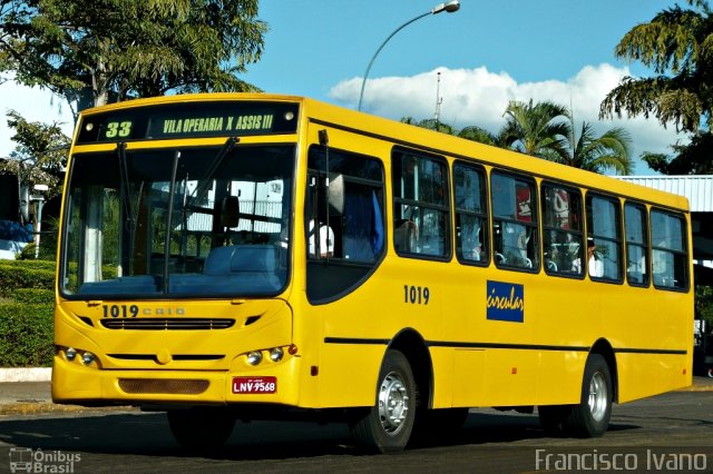 AVOA - Auto Viação Ourinhos Assis 1019 na cidade de Assis, São Paulo, Brasil, por Francisco Ivano. Número da foto: #2602023.
