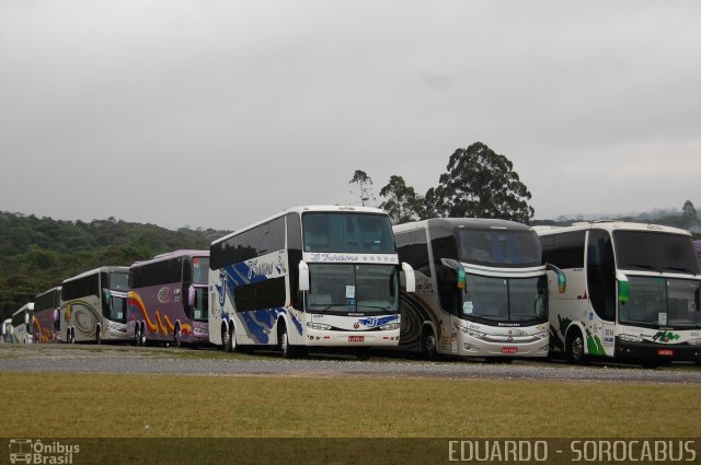 TJ Turismo 8080 na cidade de São Paulo, São Paulo, Brasil, por EDUARDO - SOROCABUS. Número da foto: #2603035.