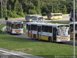 Rodoviária Metropolitana 201 na cidade de São Lourenço da Mata, Pernambuco, Brasil, por Matheus Fernando. Número da foto: #2602646.