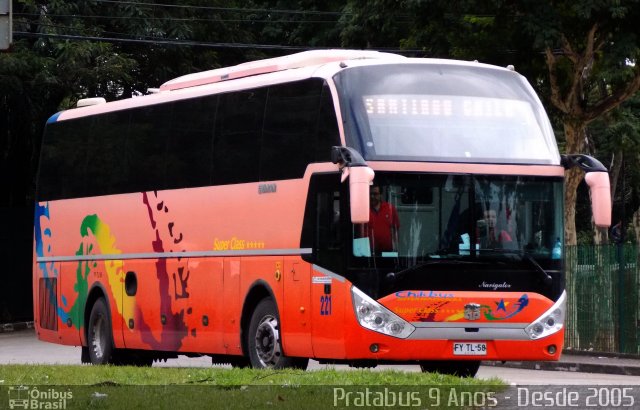 Chilebus Internacional 221 na cidade de São Paulo, São Paulo, Brasil, por Cristiano Soares da Silva. ID da foto: 2606901.