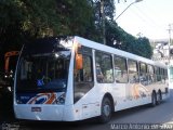 SBC Trans 2049 na cidade de São Bernardo do Campo, São Paulo, Brasil, por Marco Antonio da Silva. Número da foto: #2609921.