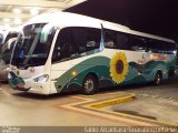 Sunflower Turismo 767 na cidade de Guaratinguetá, São Paulo, Brasil, por Fabio Alcantara. Número da foto: #:id.