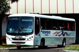 AVOA - Auto Viação Ourinhos Assis 11620 na cidade de Ourinhos, São Paulo, Brasil, por Francisco Ivano. Número da foto: #2615587.