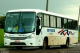 AVOA - Auto Viação Ourinhos Assis 11133 na cidade de Tarumã, São Paulo, Brasil, por Francisco Ivano. Número da foto: #2615566.