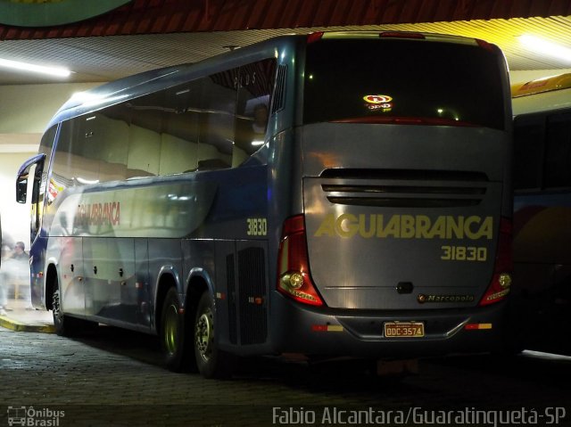 Viação Águia Branca 31830 na cidade de Guaratinguetá, São Paulo, Brasil, por Fabio Alcantara. Número da foto: #2568169.
