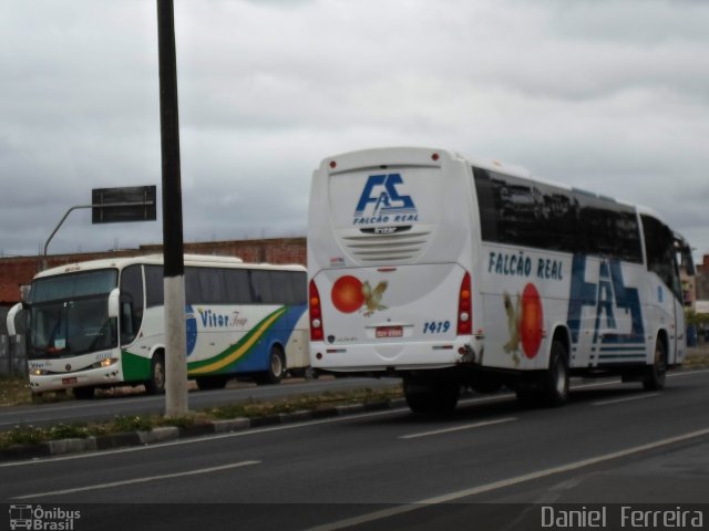 Falcão Real 1419 na cidade de Feira de Santana, Bahia, Brasil, por Daniel  Ferreira. Número da foto: #2568178.