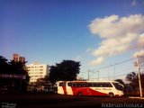 Viação São Bento Ribeirão Preto 11020 na cidade de Uberlândia, Minas Gerais, Brasil, por Anderson Gonçalves da Fonseca. Número da foto: #2569395.