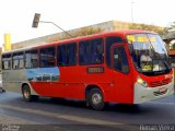 Transbus Transportes > Gávea Transportes 29131 na cidade de Belo Horizonte, Minas Gerais, Brasil, por Renan Vieira. Número da foto: #2568851.