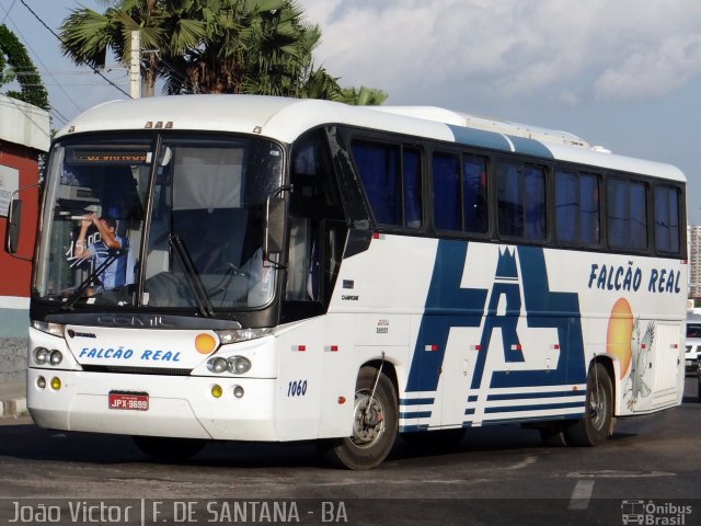 Falcão Real 1060 na cidade de Feira de Santana, Bahia, Brasil, por João Victor. Número da foto: #2618792.