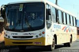AVOA - Auto Viação Ourinhos Assis 7910 na cidade de Paraguaçu Paulista, São Paulo, Brasil, por Francisco Ivano. Número da foto: #2618962.