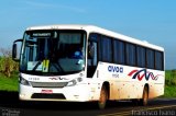 AVOA - Auto Viação Ourinhos Assis 11130 na cidade de Paraguaçu Paulista, São Paulo, Brasil, por Francisco Ivano. Número da foto: #2618975.