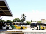 Empresa Gontijo de Transportes 10100 na cidade de Almenara, Minas Gerais, Brasil, por Sérgio Augusto Braga Canuto. Número da foto: #2573001.