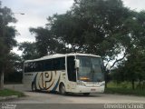Empresa de Transportes Pionesul 65 na cidade de Pelotas, Rio Grande do Sul, Brasil, por Cleverton Schmitt. Número da foto: #2572832.