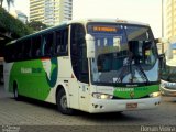 Pássaro Verde 29009 na cidade de Belo Horizonte, Minas Gerais, Brasil, por Renan Vieira. Número da foto: #2577682.