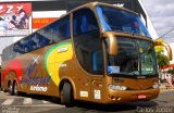 Poloni Turismo 3200 na cidade de Goiânia, Goiás, Brasil, por Carlos Júnior. Número da foto: #2579576.