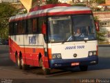 Jequié Turismo 005 na cidade de Caruaru, Pernambuco, Brasil, por Lenilson da Silva Pessoa. Número da foto: #2619490.