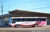 Sudoeste Transportes 65702 na cidade de Realeza, Paraná, Brasil, por Roger Damim Maccarini. Número da foto: #2640318.