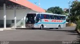Expresso de Prata 460430 na cidade de Lucélia, São Paulo, Brasil, por Diego Carlos Oliveira. Número da foto: #2642047.