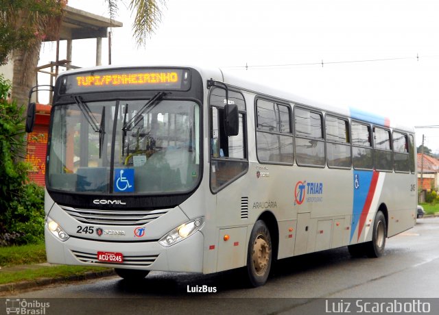 TransTupi Turismo e Fretamento 245 na cidade de Araucária, Paraná, Brasil, por Luiz Scarabotto . Número da foto: #2648877.