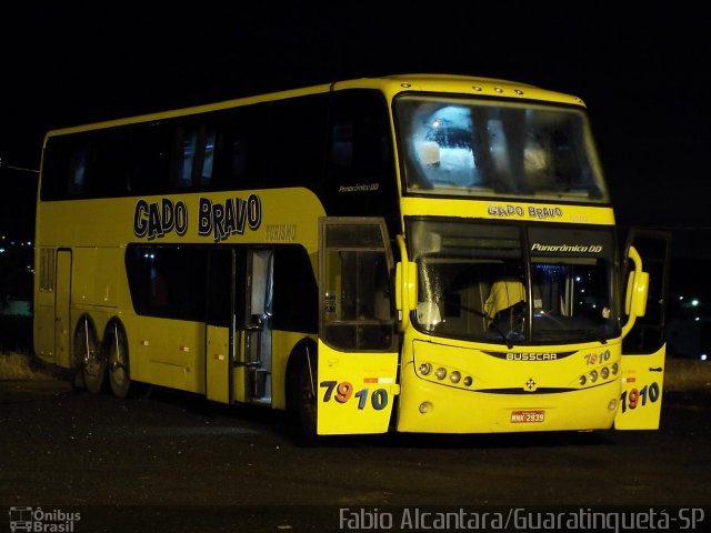 Gado Bravo Turismo 7910 na cidade de Cachoeira Paulista, São Paulo, Brasil, por Fabio Alcantara. Número da foto: #2650995.