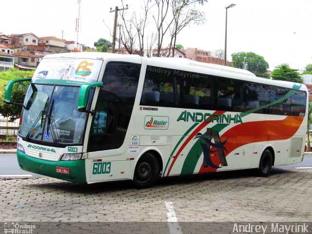 Empresa de Transportes Andorinha 6003 na cidade de Bauru, São Paulo, Brasil, por Andrey Gustavo. ID da foto: 2653890.