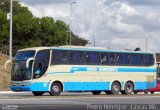 Viação Novo Horizonte 806311 na cidade de Ribeirão Vermelho, Minas Gerais, Brasil, por Pedro Henrique Gumercindo da Silva. Número da foto: #2652372.