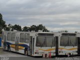 Sucata e Desmanches 527 na cidade de Itapecerica da Serra, São Paulo, Brasil, por Rafael Santos Silva. Número da foto: #2655853.