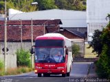 Pluma Conforto e Turismo 4931 na cidade de Juiz de Fora, Minas Gerais, Brasil, por Lucas de Souza Pereira. Número da foto: #2661002.