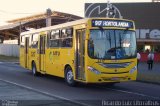 Auto Ônibus Três Irmãos 3217 na cidade de Jundiaí, São Paulo, Brasil, por Ricardo Luiz. Número da foto: #2662266.